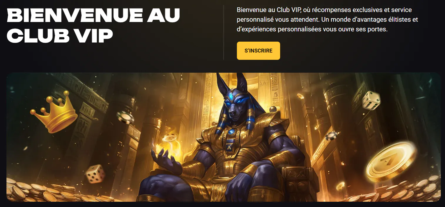 Programme VIP